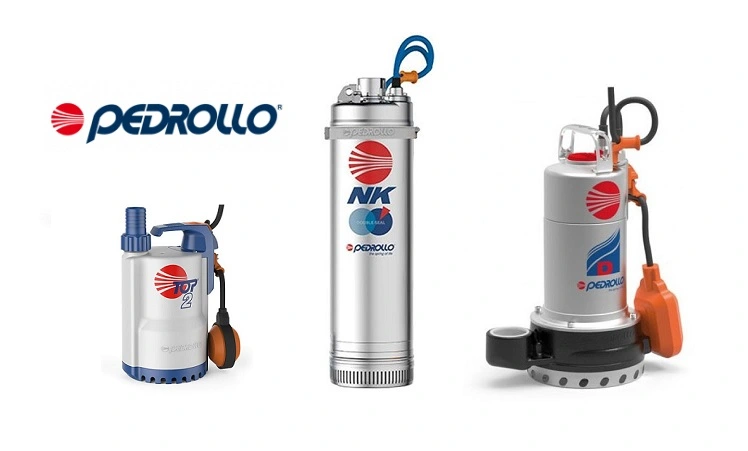 Pedrollo Dalgıç Pompa Tamiri